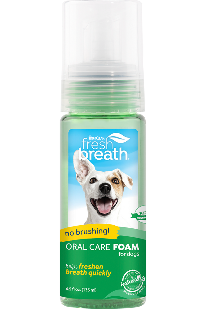 FRESH BREATH ORAL CARE FOAM