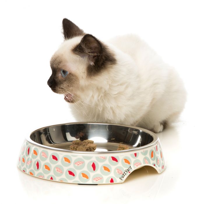 Fuzzyard best sale cat bowl