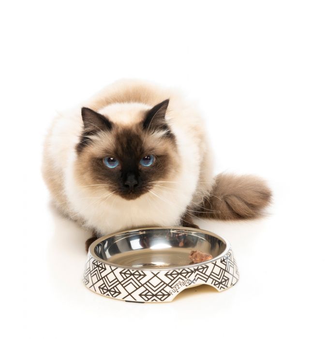 Fuzzyard cat bowl new arrivals