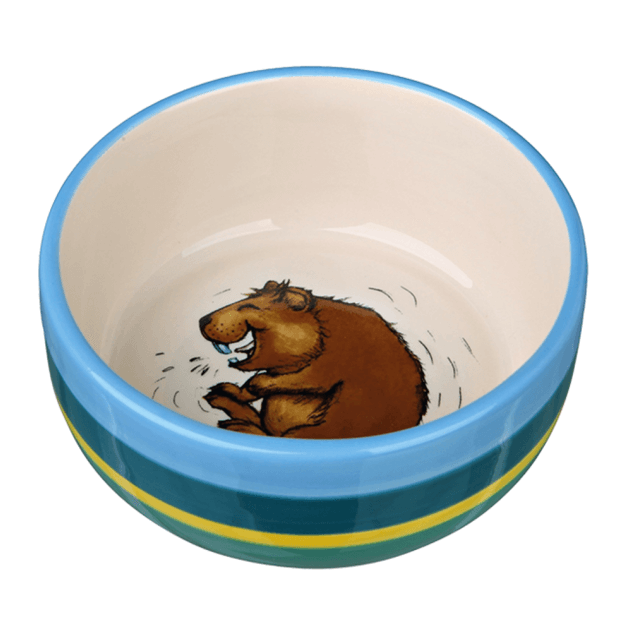 Ceramic guinea pig bowl hot sale