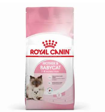 ROYAL CANIN MOTHER & BABYCAT DRY FOOD