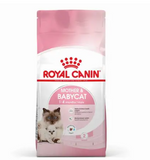 ROYAL CANIN MOTHER & BABYCAT DRY FOOD