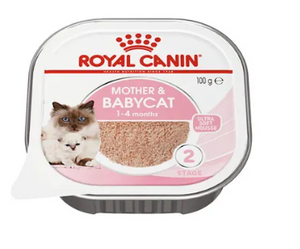 Mother and baby cat mousse hot sale