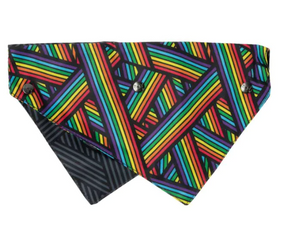 PET BANDANA - RAINBOW NORTHCOTE