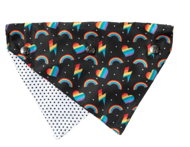 PET BANDANA - RAINBOW STYLIN