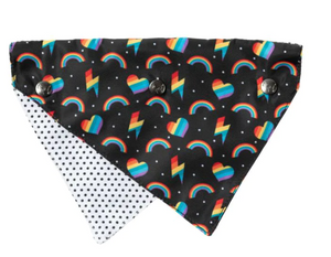 PET BANDANA - RAINBOW STYLIN