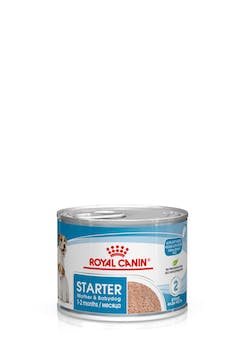 
            
                Load image into Gallery viewer, ROYAL CANIN MOTHER AND BABY STARTER MOUSSE TIN
            
        