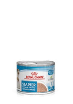 ROYAL CANIN MOTHER AND BABY STARTER MOUSSE TIN