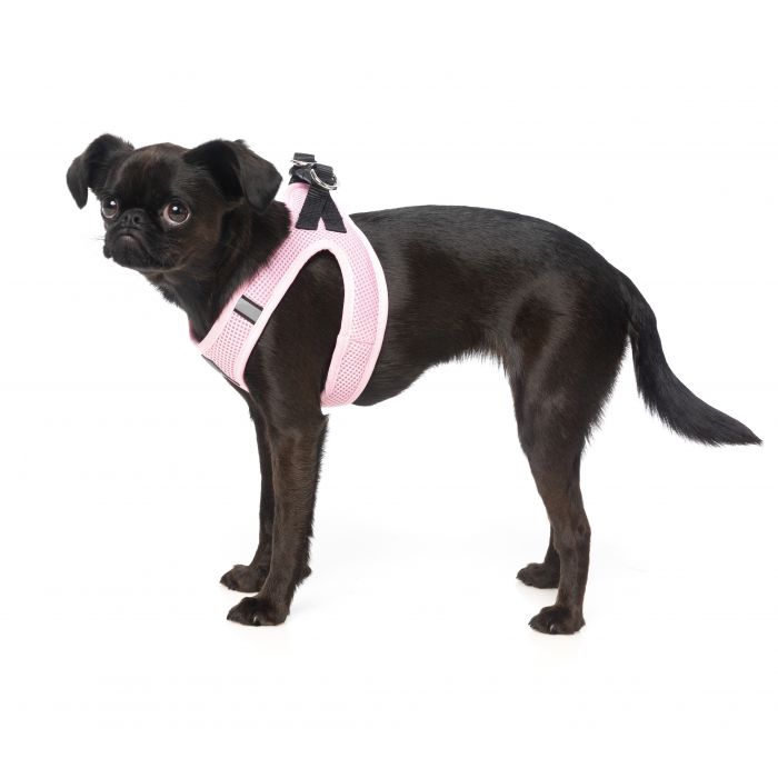 FUZZYARD STEP IN HARNESS - COTTON CANDY