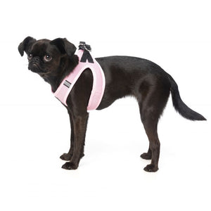 FUZZYARD STEP IN HARNESS - COTTON CANDY