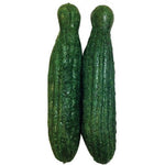 VEGGIE PATCH NIBBLES - LARGE VEGETABLES 2PK