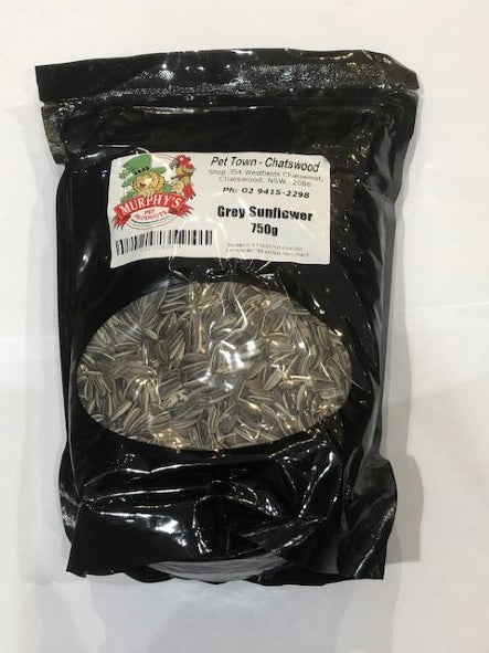 GREY SUNFLOWER SEEDS