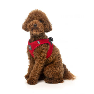 FUZZYARD STEP IN HARNESS - REBEL
