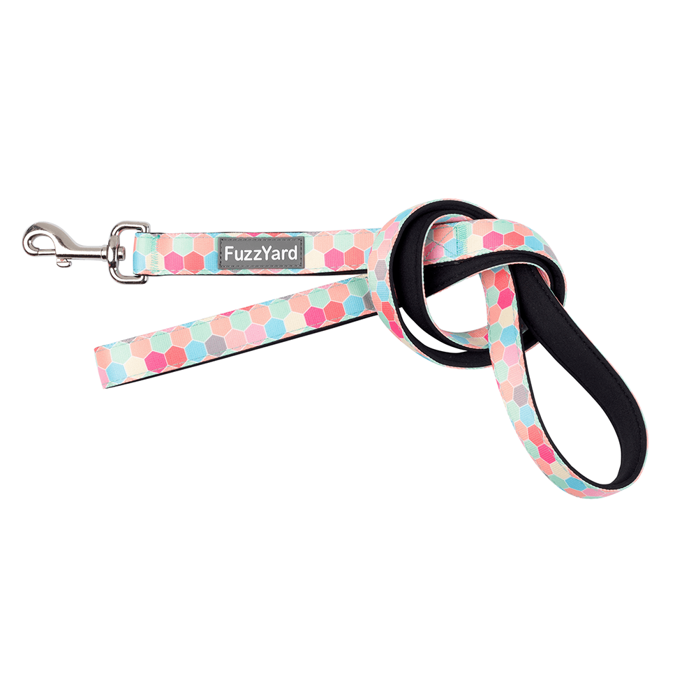 FUZZYARD DOG LEAD - THE HIVE