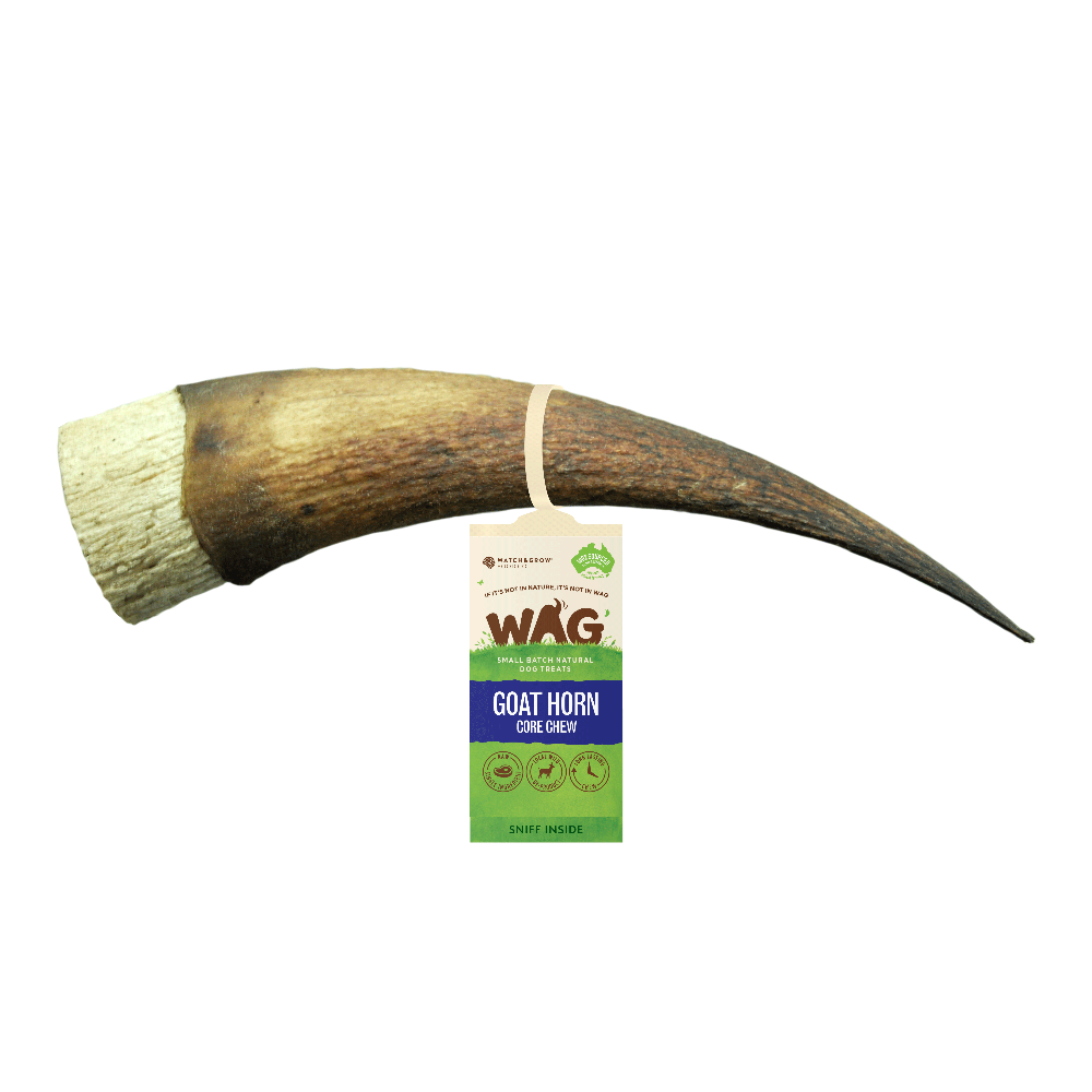 WAG GOAT HORN CORE CHEW