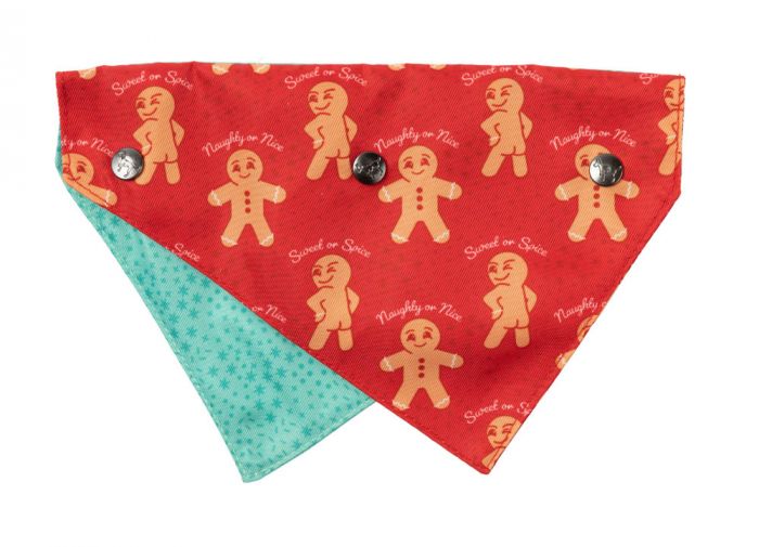 PET BANDANA - NAUGHTY GINGER