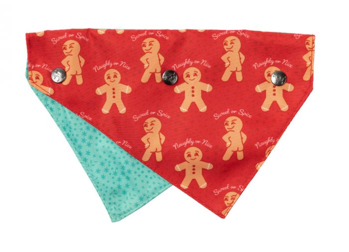
            
                Load image into Gallery viewer, PET BANDANA - NAUGHTY GINGER
            
        