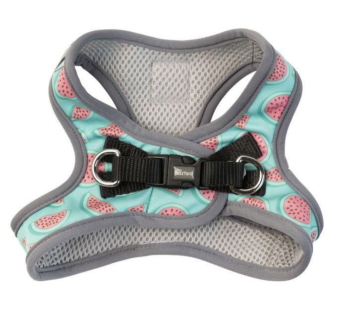 FUZZYARD STEP IN HARNESS - SUMMER PUNCH