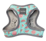 FUZZYARD STEP IN HARNESS - SUMMER PUNCH