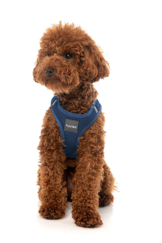 FUZZYARD STEP IN HARNESS - MARINE